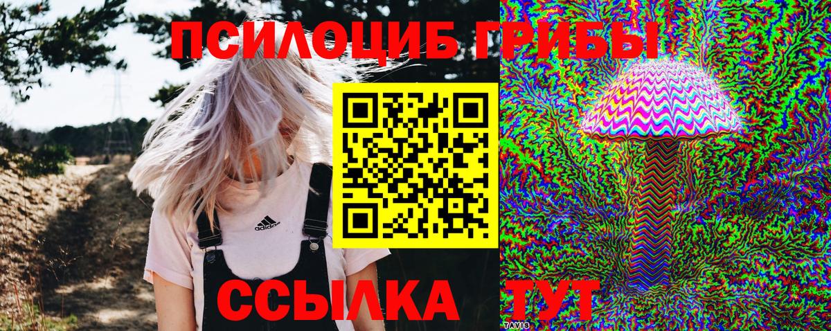 Ярцево  Галлюциногенные грибы мухоморы  Вход с VPN 