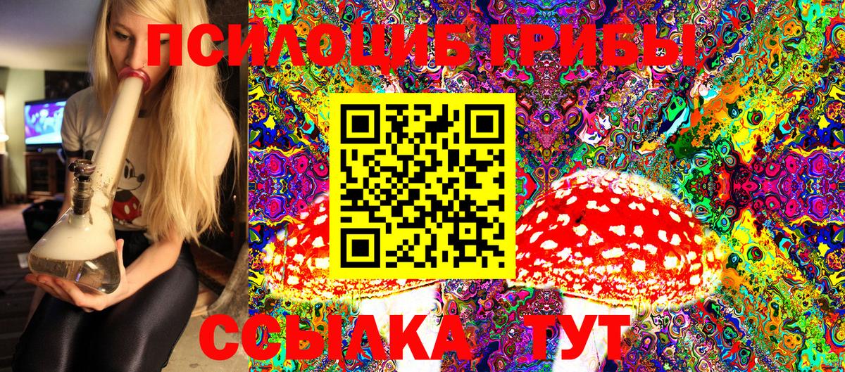 Галлюциногенные грибы Cubensis Ярцево